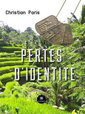 cover image of Pertes d'identité